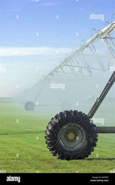 automated circular rotating center pivot irrigation system sod farming ...