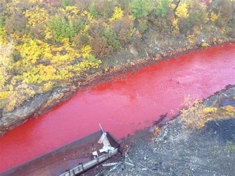 Russian Arctic Daldykan river mysteriously turns blood-red pictures and ...