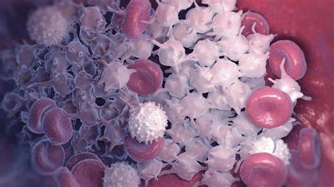 Gray Platelet Syndrome - MyBioSource Learning Center