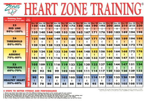 Heart Rate Monitor for Training - IDEA Health & Fitness Association