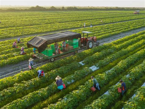 Organic Farming: What it is About - 420 Grow Radar