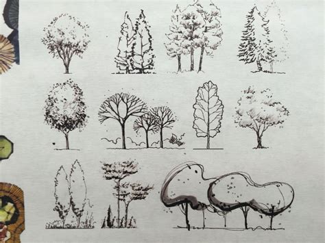 tree symbols in elevation. | Mỹ thuật, Nghệ thuật phối cảnh, Nghệ thuật