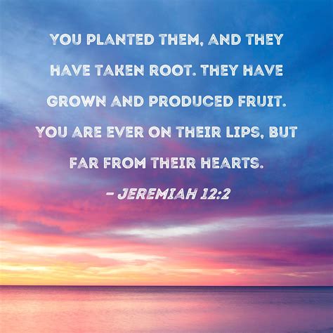 Jeremiah 12:2 You planted them, and they have taken root. They have ...