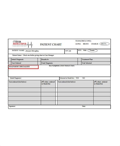 Sample Patient Medical Chart