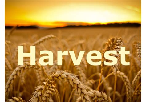 Harvest+2016+Logo - Black Country Foodbank