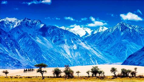 Nubra Valley - Discover Leh Ladakh