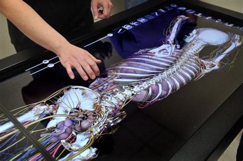 Картинки по запросу anatomage table | Картинки