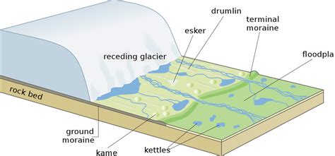 Science Spotlight: Exciting Eskers — Edmonton & Area Land Trust