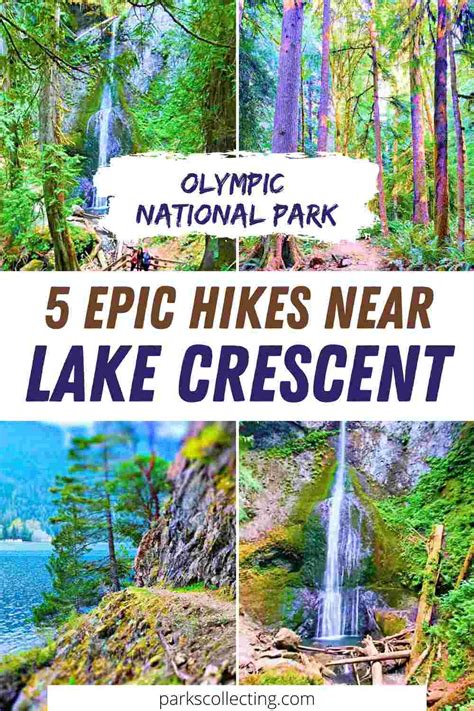 5 Best Hikes Near Lake Crescent In Washington