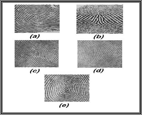 1 fingerprint patterns: a-Arch (A). b-Tented Arch (T). c-Left Loop (L ...