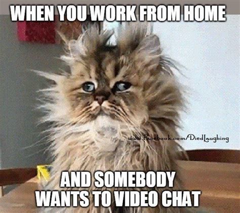 stay at home stay safe meme - Google Search | Work humor, Working from ...