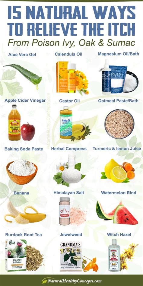 15 Natural Home Remedies for Poison Ivy, Oak & Sumac - Healthy Concepts ...