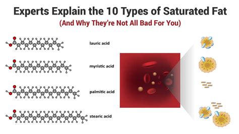 Experts Explain the 10 Types of Saturated Fat (And Why They’re Not All ...