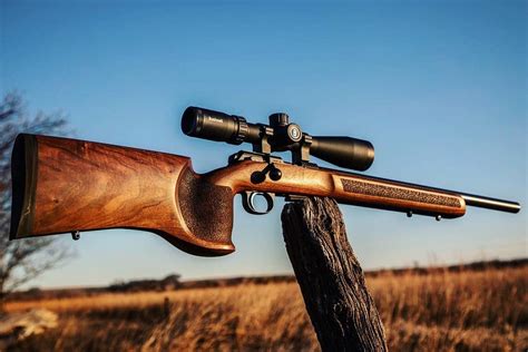 CZ 457 Bolt-Action Rimfire Rifle Officially Unveiled - AllOutdoor.com