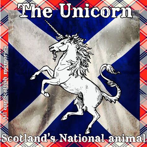 The Unicorn, Scotland’s National Animal...? :) | Scotlands national ...