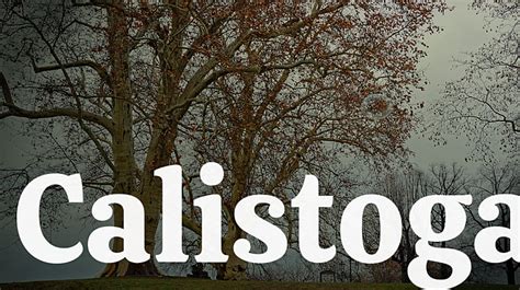 Calistoga Font Family : Download Free for Desktop & Webfont