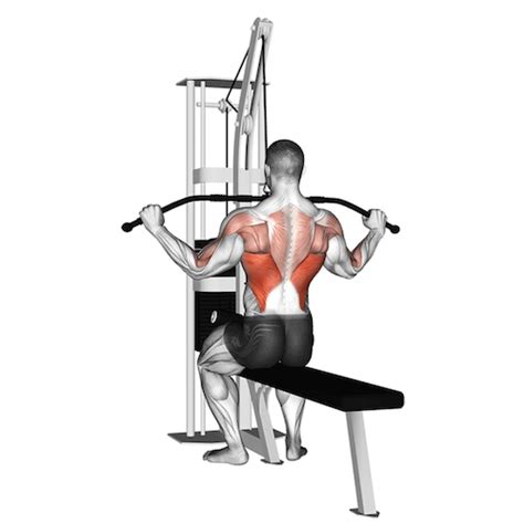 Wide Grip Lat Pulldown: A Complete Guide | How to Build a Bigger Back!