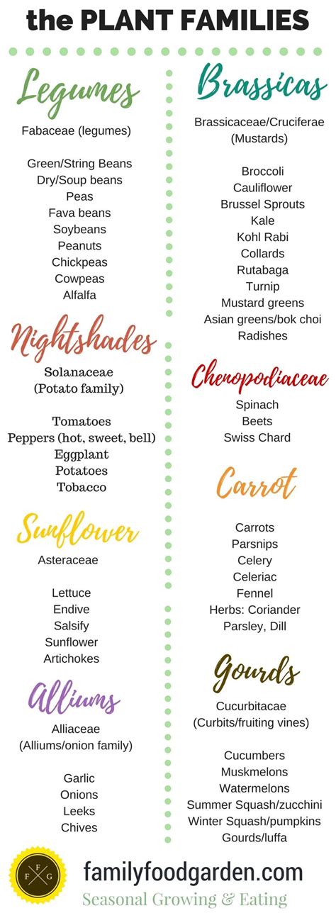 Crop Rotation Examples [With Plant Families] | Family Food Garden ...