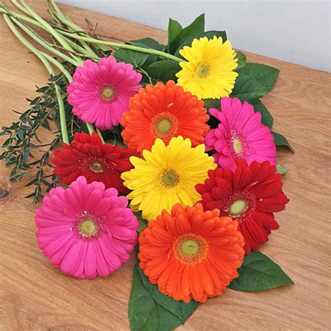 Gerbera Daisy Bouquet