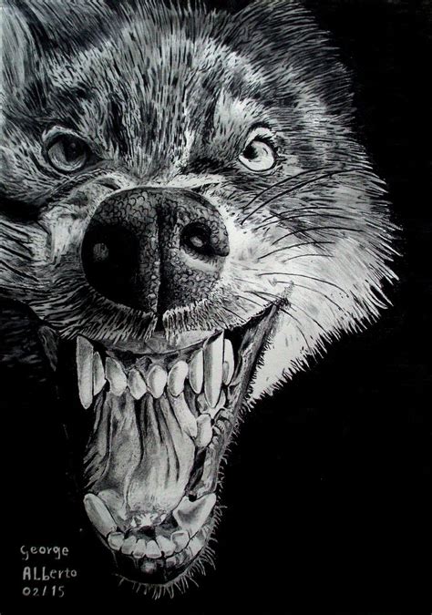 Wolf, realistic pencil drawing | desenhos realistas a lápis | Pinterest ...