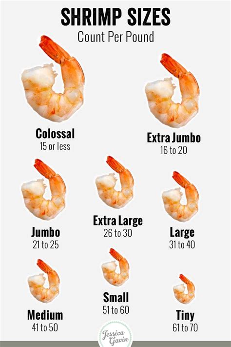 Types and Sizes of Shrimp | How to cook shrimp, Shrimp nutrition facts ...