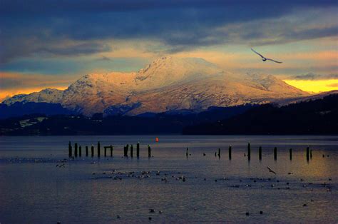 Ben Lomond Winter Morning Photograph by Iain MacVinish