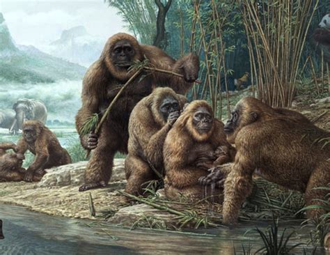 5 Indian Animals That Are Extinct Now - lifeberrys.com