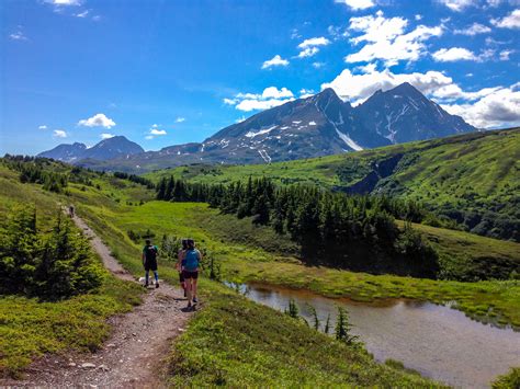 Lost Lake Hike | Exit Glacier Guides