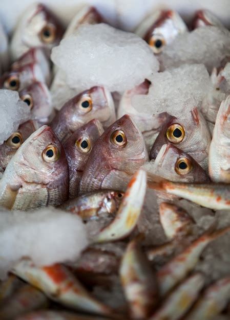 Premium Photo | Fresh seafood