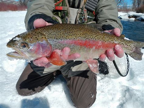 Cold Weather Fishing