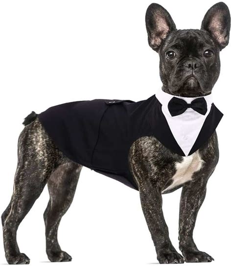 Amazon.co.uk: dog tuxedo