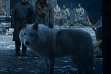 Game Of Thrones Direwolf Pups