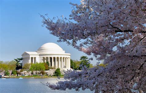 File:Jefferson Memorial with Cherry Blossom.jpg - Wikipedia, the free ...