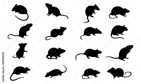 Stockvector Mice Mouse Silhouette, set vector Animals Icons | Adobe Stock