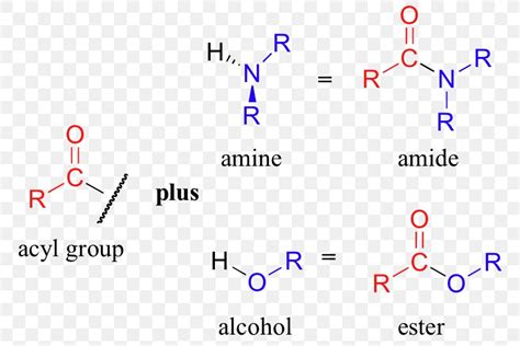 Amine Amide Acyl Group Functional Group Chemistry, PNG, 780x548px ...