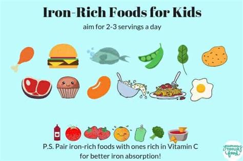 Best Iron-Rich Foods for Babies, Toddlers, & Kids (+50 Recipes!)