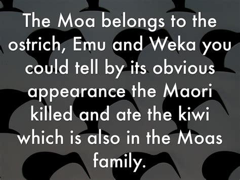 Why Are The Moa Extinct by Room 7