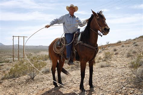 Battle lines hardening in Nevada cattle rancher standoff with feds - LA ...