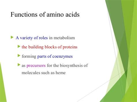 Amino acid classification