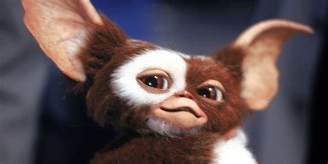 Gremlins Star's Theory on Making a Third Film Happen