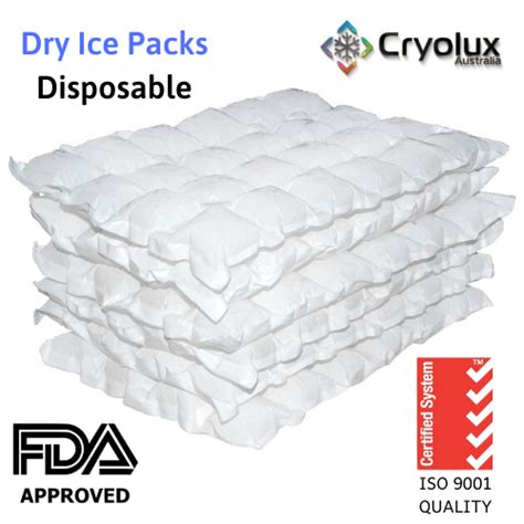 Food & Medical Grade Disposable 2 Ply Dry Ice packs - 1KG - 6x4 - Dry ...