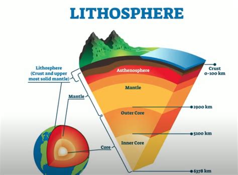 The Oxygen Cycle Explained | MooMooMath and Science