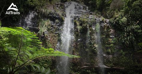 10 Best hikes and trails in Springbrook National Park | AllTrails