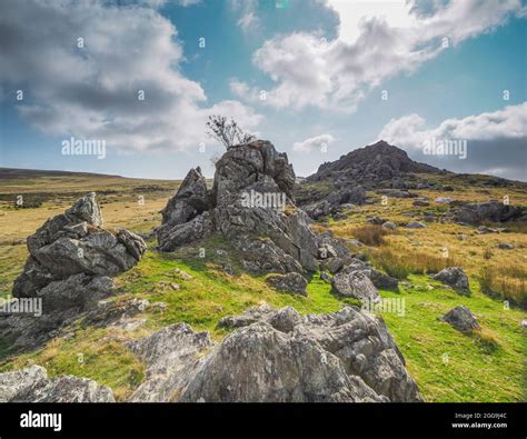 Preseli Hills, Pembrokeshire, Wales, Great Britain Stock Photo - Alamy