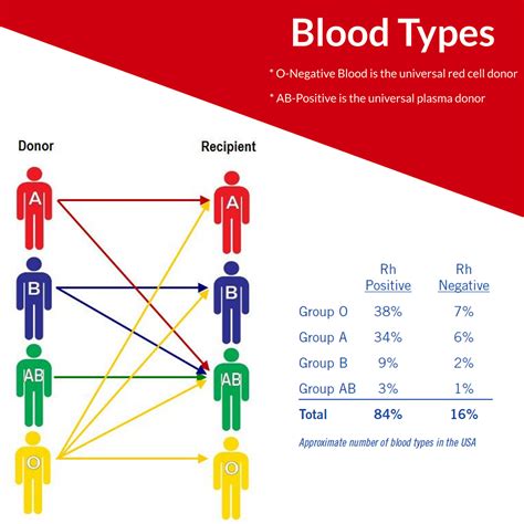 Blood Donor Basics – Dak Minn Blood Bank