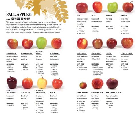 Apple Varieties