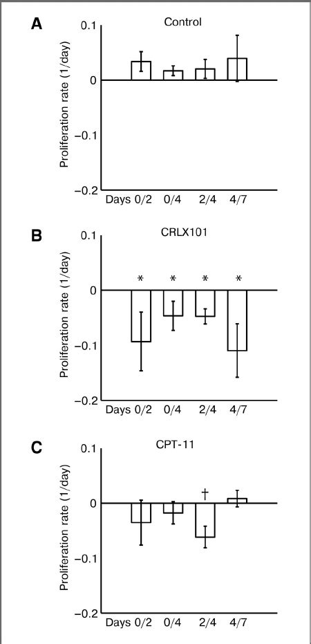 Cellular proliferation rates for different treatment groups were ...