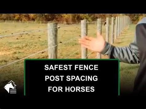 🐴 Wood Fence Posts 🌲 What's the Safest Fence Post Spacing for Horses ...