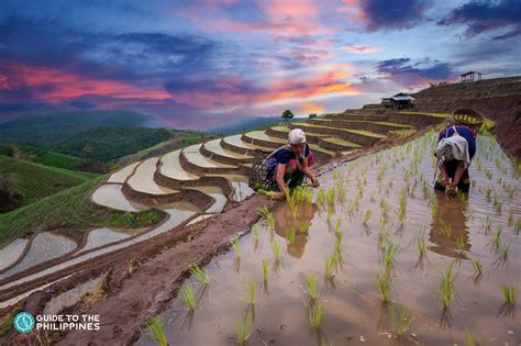 Top 18 Banaue Tourist Spots: Rice Terraces and Nature Tri...