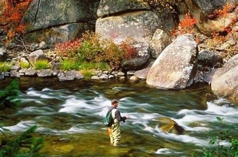 Yosemite Sierra Fly Fishing (Yosemite National Park) - 2020 All You ...